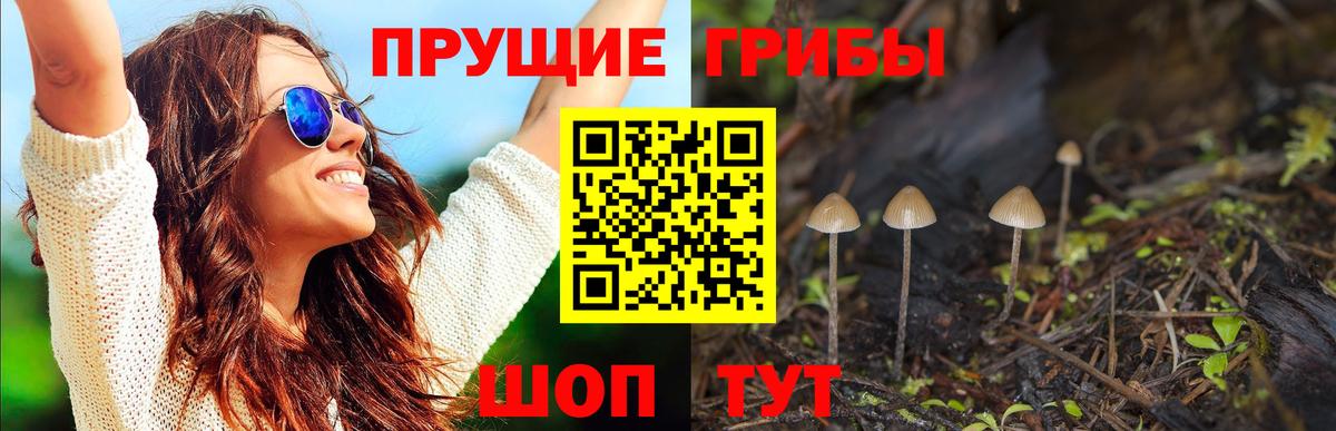 Галлюциногенные грибы мухоморы  Вход с VPN  Междуреченск  Галлюциногенные грибы прущие грибы 